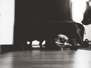 Boy at home