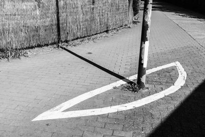 High angle view of zebra crossing on street