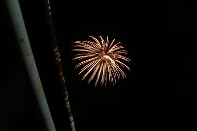 Low angle view of firework display at night