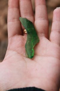 Close-up of human hand holding lizard