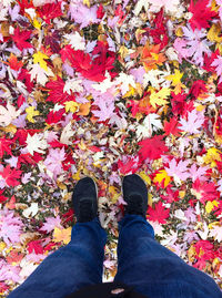 Low section of man standing on autumn leaves