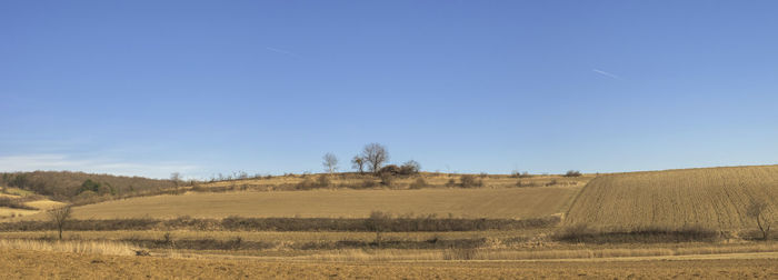 Hay bales on field against clear sky