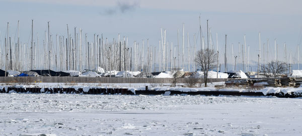 Sailboat masts in storage in winter by the harbor