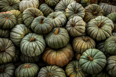 Full frame shot of pumpkins