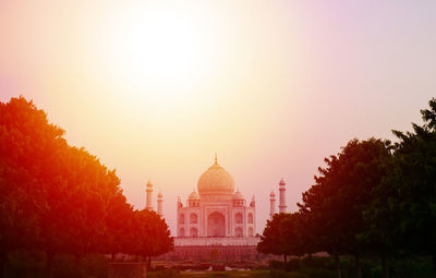 View of trees at sunset