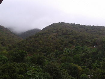 Scenic view of green landscape and mountains against sky