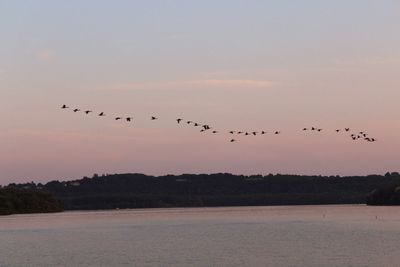 Birds flying over silhouette landscape against sky