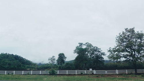 Scenic view of grassy field against sky