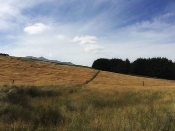 Scenic view of grassy field against cloudy sky