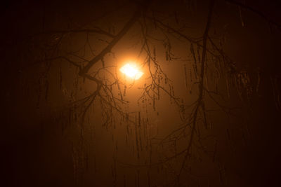 Low angle view of silhouette bare trees against sunset sky