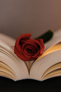 Close-up of red rose on table