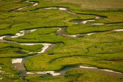 Aerial view of green landscape