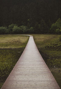 Surface level of footpath amidst trees
