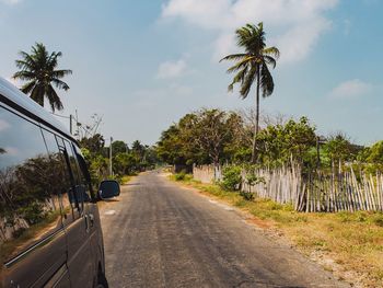 Street amidst palm trees against sky