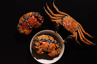 High angle view of breakfast on table against black background