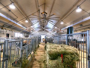 Empty corridor in a stable