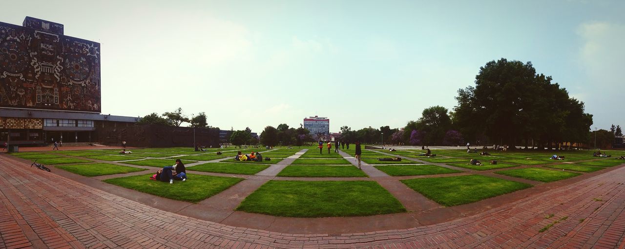 grass, sky, tree, building exterior, green color, architecture, built structure, field, cloud - sky, park - man made space, landscape, lawn, large group of people, grassy, men, cloud, park, incidental people, day