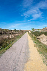 Dirt road amidst landscape against blue sky