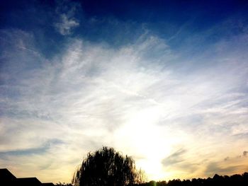 Low angle view of silhouette trees against sky at sunset