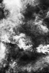 Low angle view of trees against sky