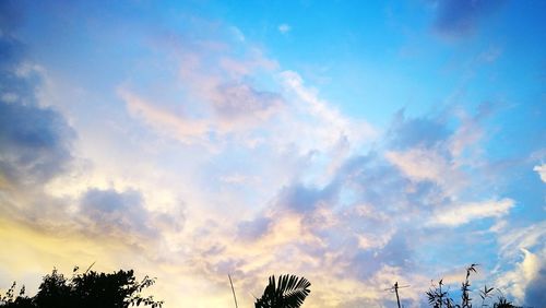 Low angle view of silhouette trees against sky during sunset