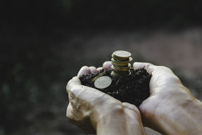 Close-up of hand holding coins