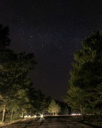 Low angle view of illuminated trees against sky at night