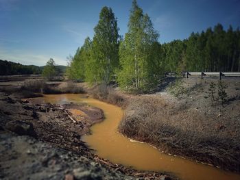 Scenic view of river flowing by trees against sky