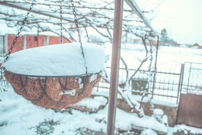 Close-up of frozen tree during winter