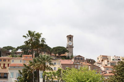 Trees and houses against sky