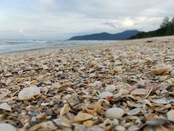 Close-up of pebbles on beach against sky