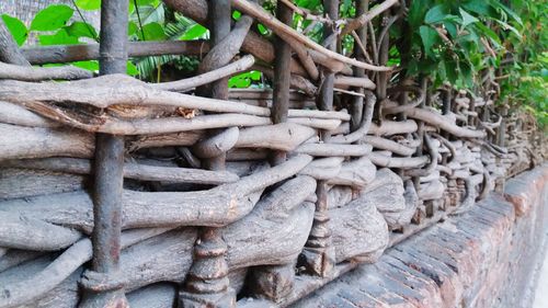 Stack of roots