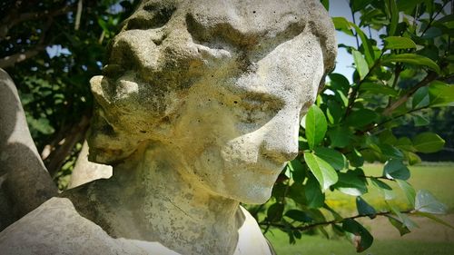 Close-up of angel statue by tree