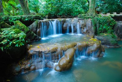 Scenic view of waterfall in forest