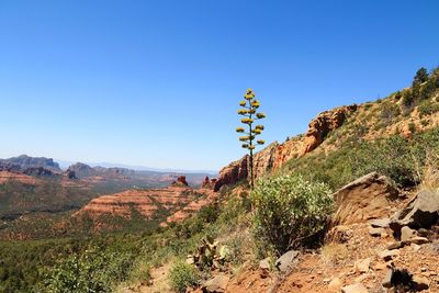 Scenic view of mountains against clear blue sky