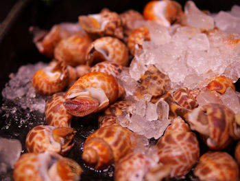 Close-up of seafood on barbecue