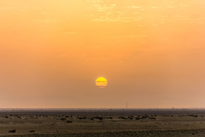 Scenic view of field against orange sky