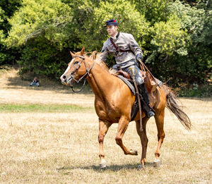 Horse riding horses