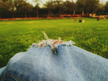 Close-up of grass on grassy field