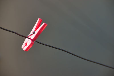 Low angle view of flags hanging on rope