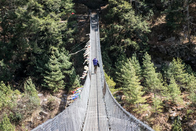 Footbridge amidst trees in forest