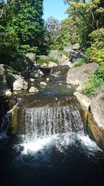 Stream flowing through rocks in forest