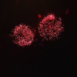 Low angle view of firework display at night