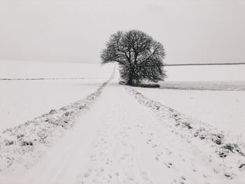 Bare tree on snow covered field against sky