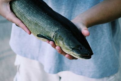 Midsection of person holding dead fish