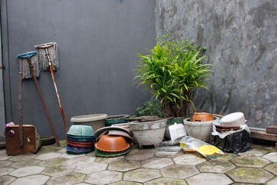 Potted plants on wall by street