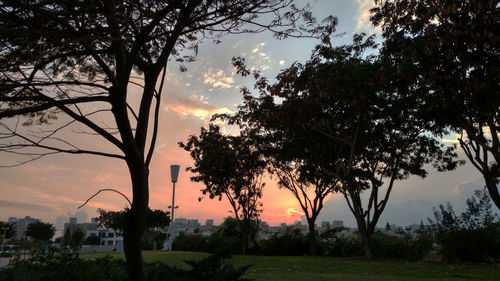 Silhouette trees on field against sky at sunset