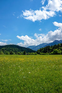 Scenic view of field against sky