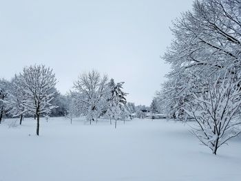 Bare trees on snow covered field against sky