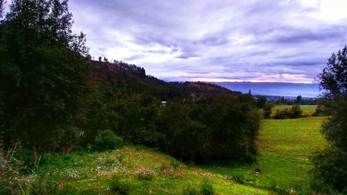 Scenic view of landscape against sky